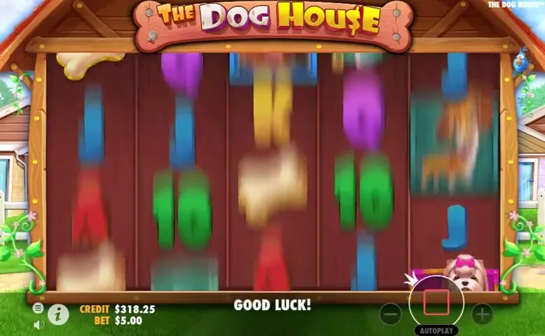 The Dog House, tragaperras en casino con licencia